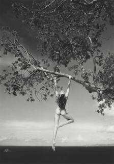 Patrick Demarchelier - Nude, St. Barthelemy, West Indies, 1989