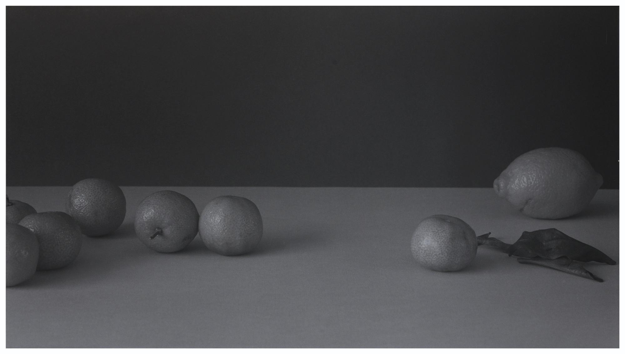 Patrick Faigenbaum - Nature Mortesigned, Titled, Dated 2004 And Numbered Ea 1/2 On The Back; Black And White Photograph Mounted On Aluminium.