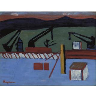 Patrick Hayman - Wellington Harbour