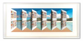 Patrick Hughes - Library Doors