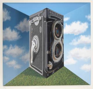 Patrick Hughes - Rolleiflex