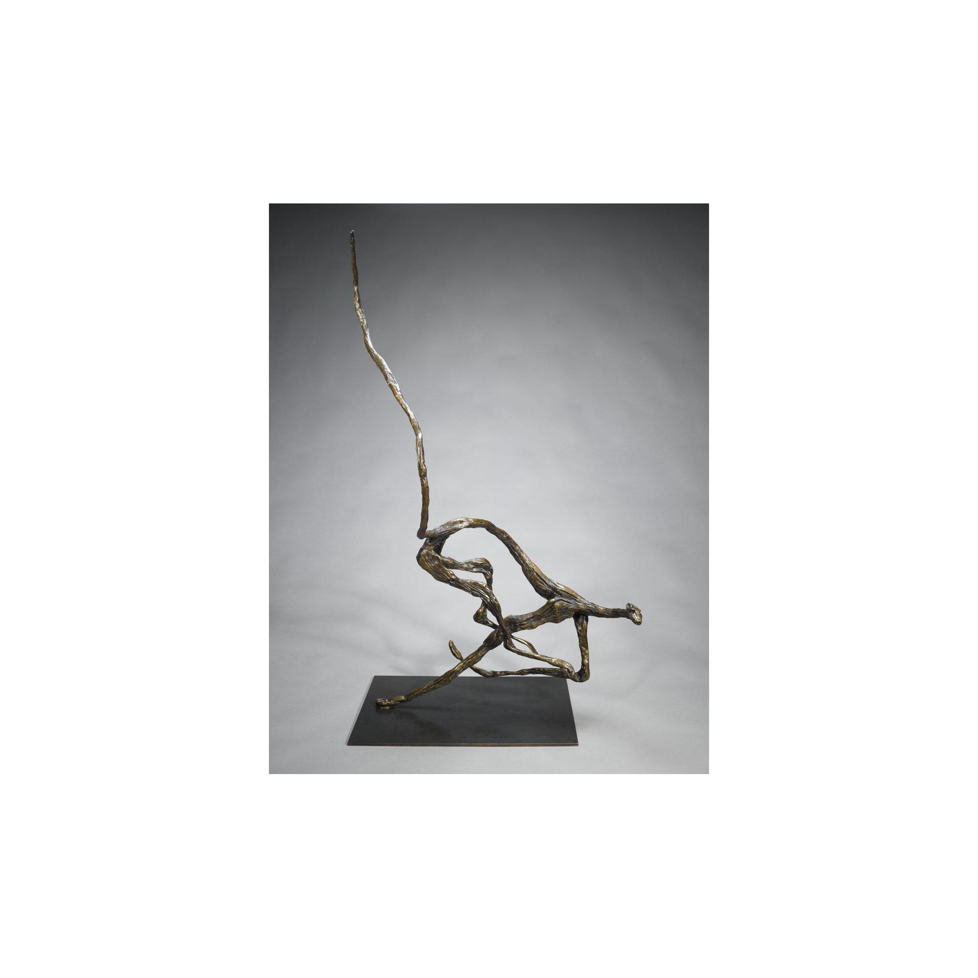 Patrick O\'Reilly - Cat