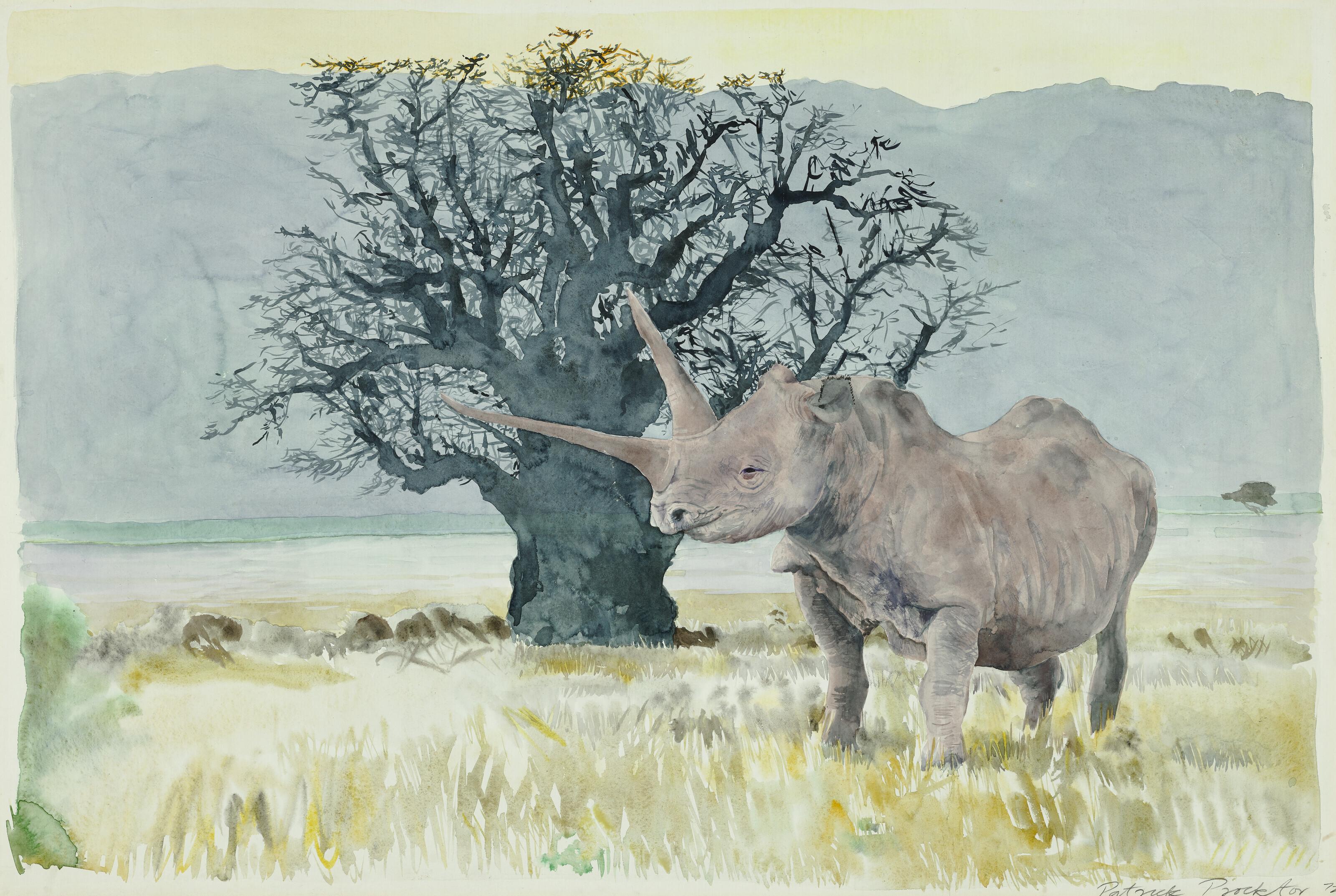 Patrick Procktor, R.A. - Rhino