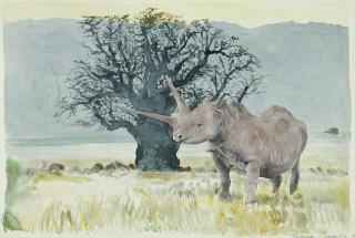 Patrick Procktor, R.A. - Rhino