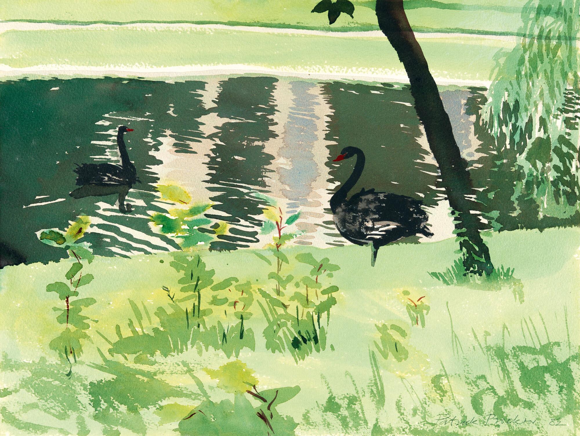 Patrick Procktor - 2 Bll.: Schwarze Schwäne – Asamkirche