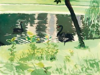 Patrick Procktor - 2 Bll.: Schwarze Schwäne – Asamkirche