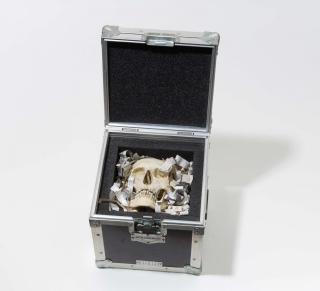 Patrick Raynaud - A.F.C No. 18