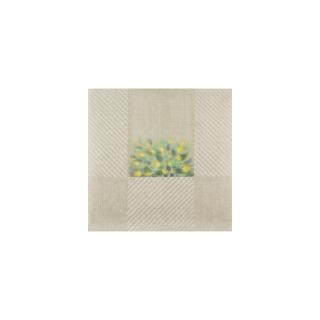 Patrick Scott - Gorse