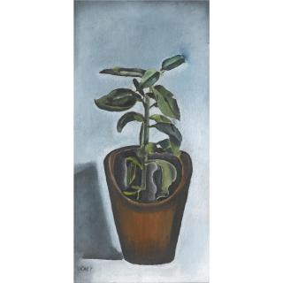 Patrick Swift - Plant Pot