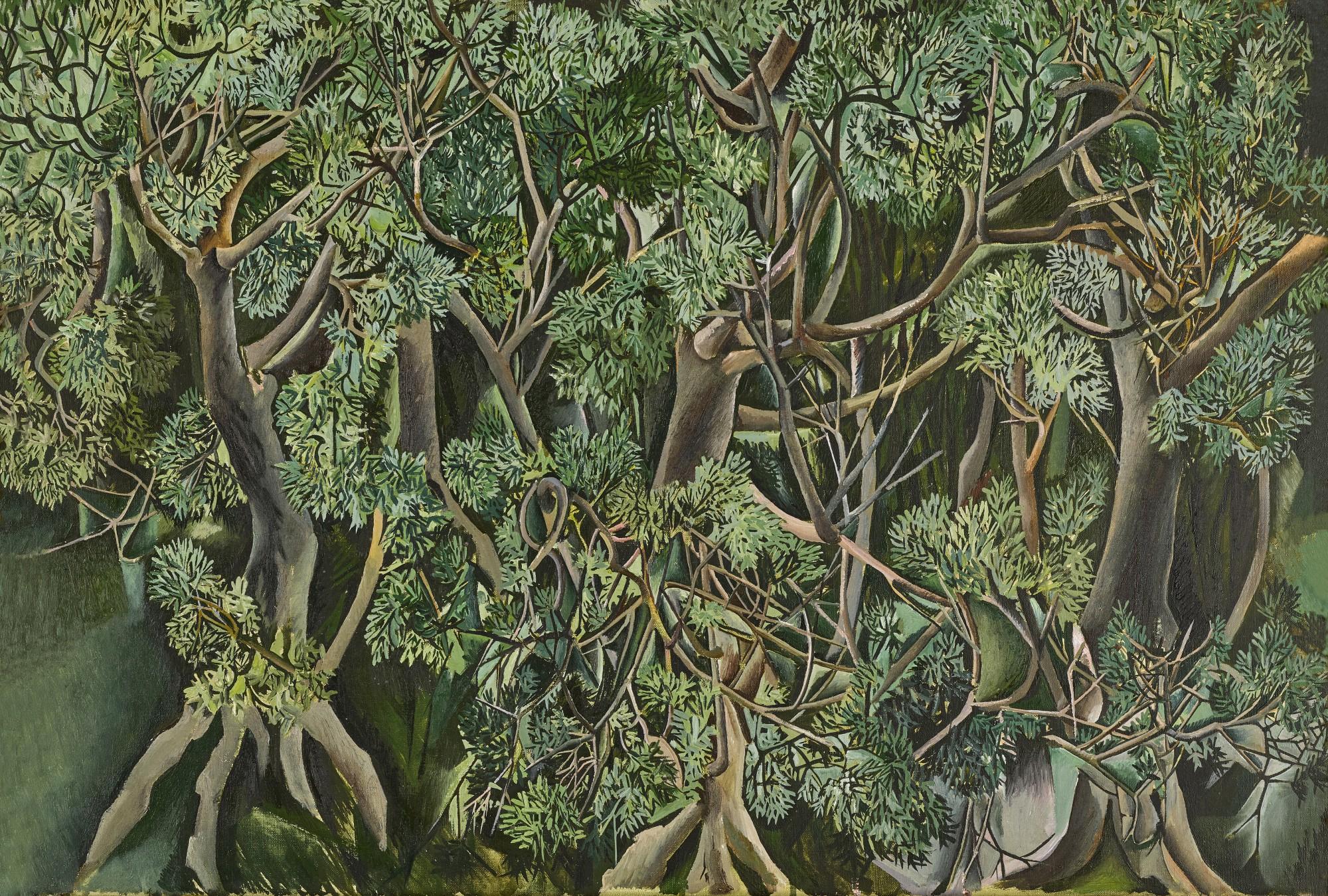 Patrick Swift - Verdant Ash Trees