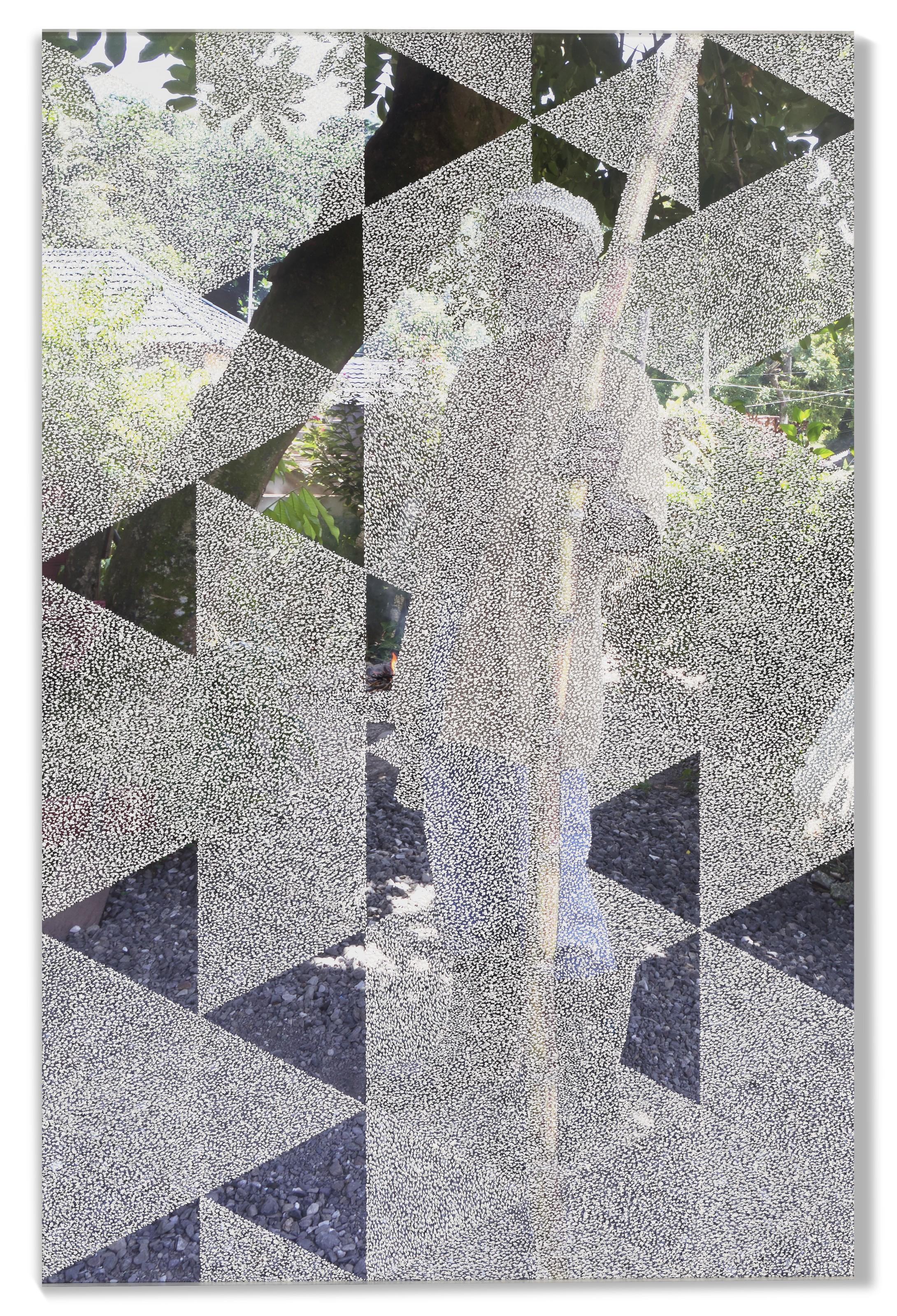 Paul Anthony Smith - Diamond 9ft Cane (Ackee)