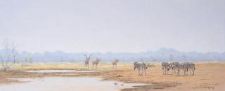 Paul B. Dixon - Africa at Peace