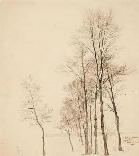 Paul Baum - Bäume ohne Laub (Studie)