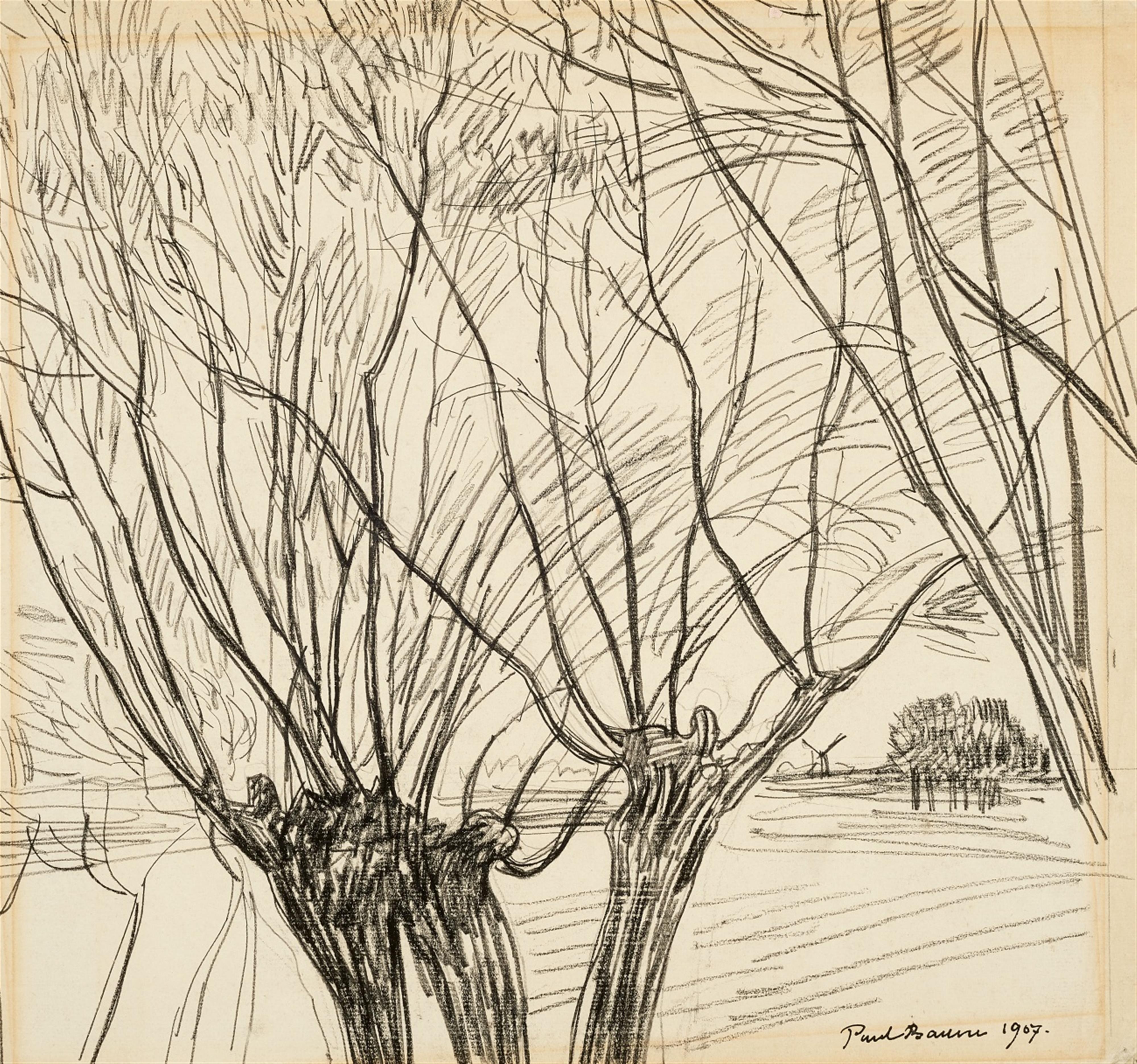 Paul Baum - Blätterloses Gezweig der Kopfweiden