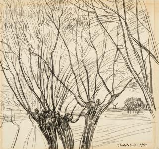 Paul Baum - Blätterloses Gezweig der Kopfweiden