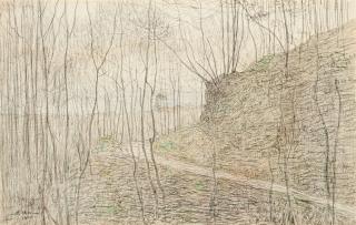 Paul Baum - Blick zum Meer durch junges Wäldchen