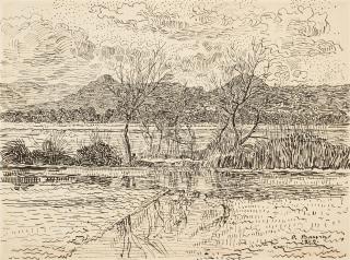 Paul Baum - Überschwemmte Wiesen vor Hyères mit Weidenbäumchen an Binsengestrüpp