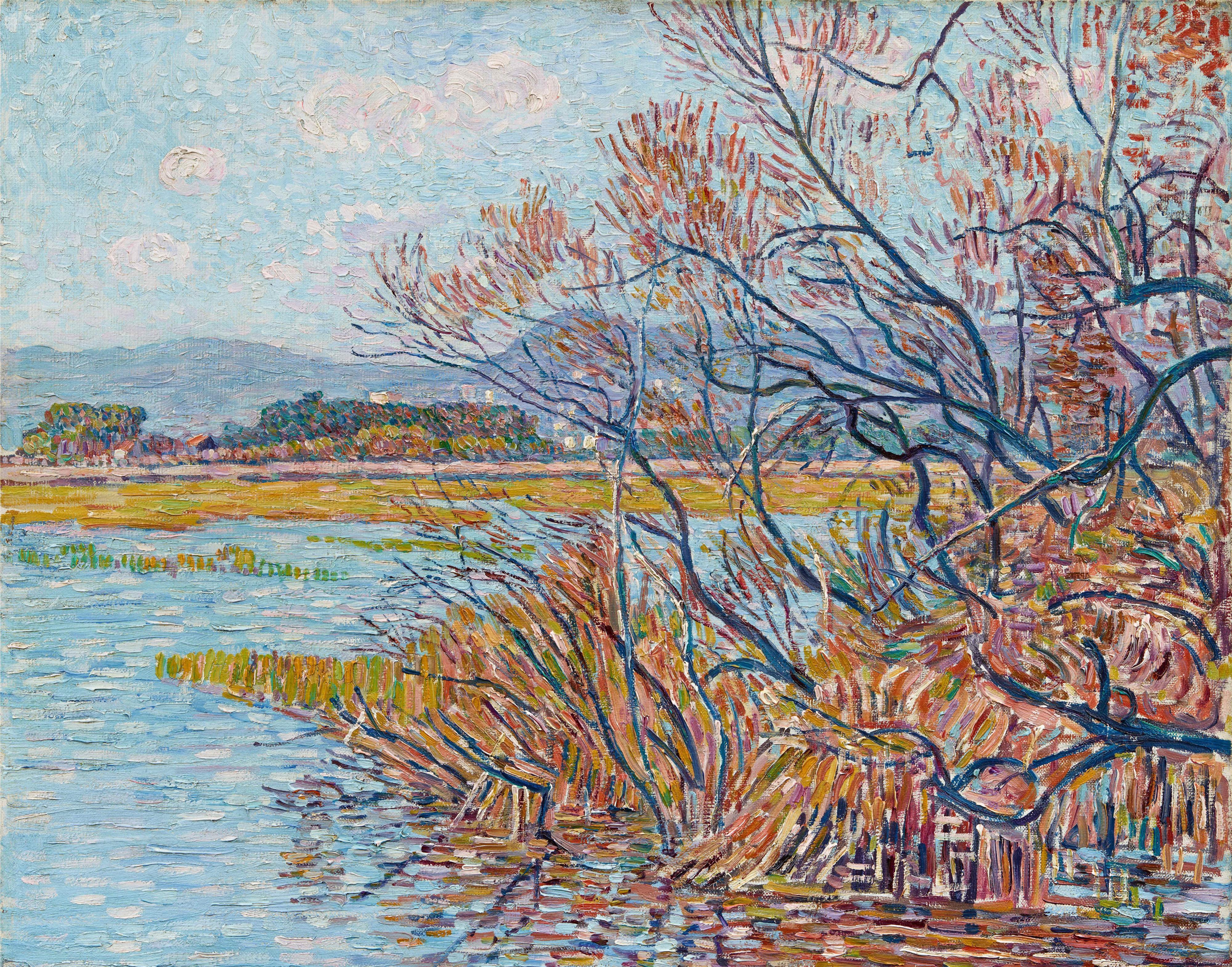 Paul Baum - Überschwemmung bei Hyères mit Baumgestrüpp und Schilfgras am Ufer