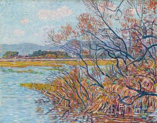 Paul Baum - Überschwemmung bei Hyères mit Baumgestrüpp und Schilfgras am Ufer