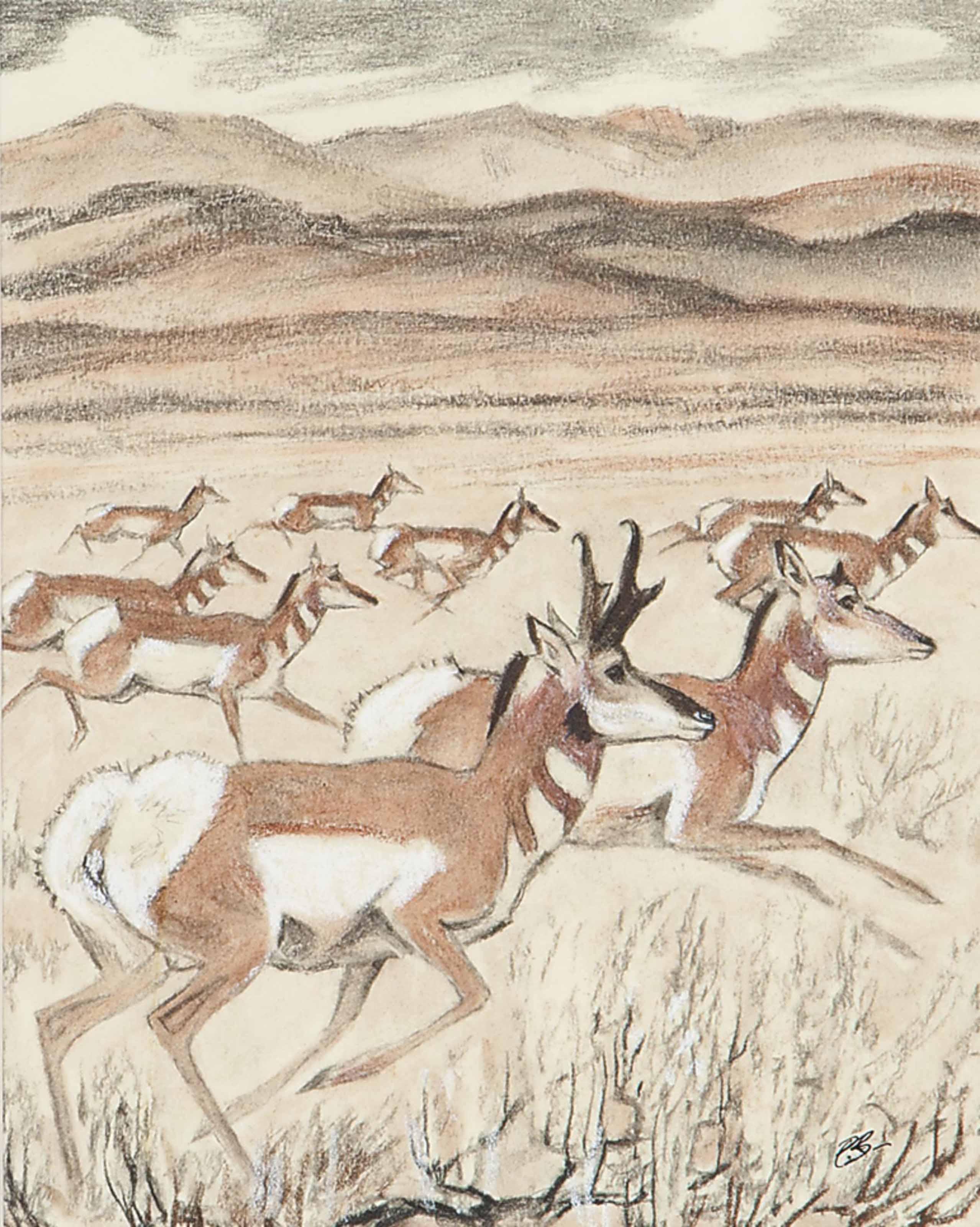 Paul Bransom - Running Antelope