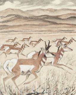 Paul Bransom - Running Antelope