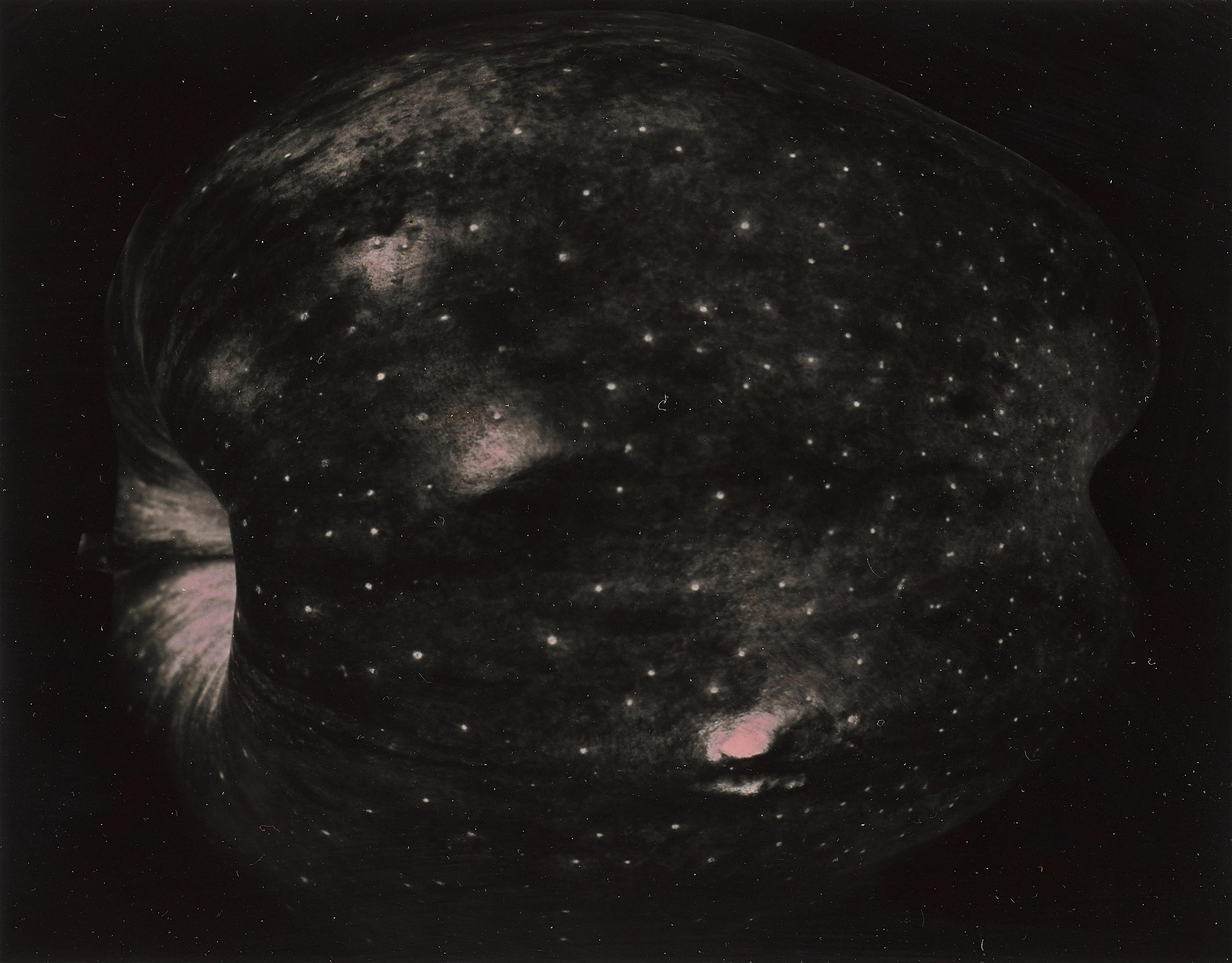 Paul Caponigro - Apple, New York