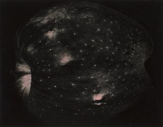 Paul Caponigro - Apple, New York