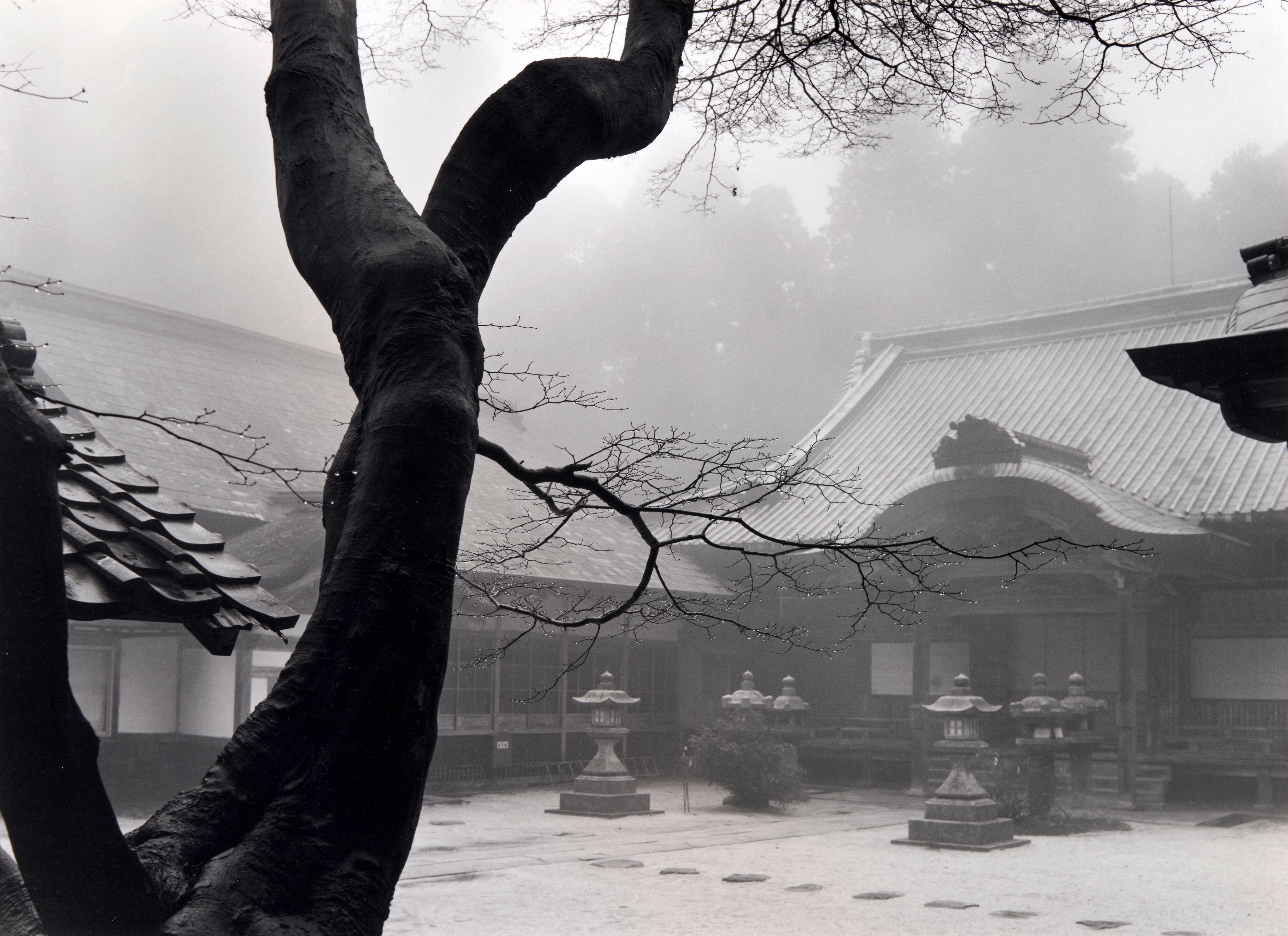 Paul Caponigro - Black Tree and Temple, Hiei-san, Kyoto, Japan