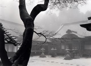 Paul Caponigro - Black Tree and Temple, Hiei-san, Kyoto, Japan