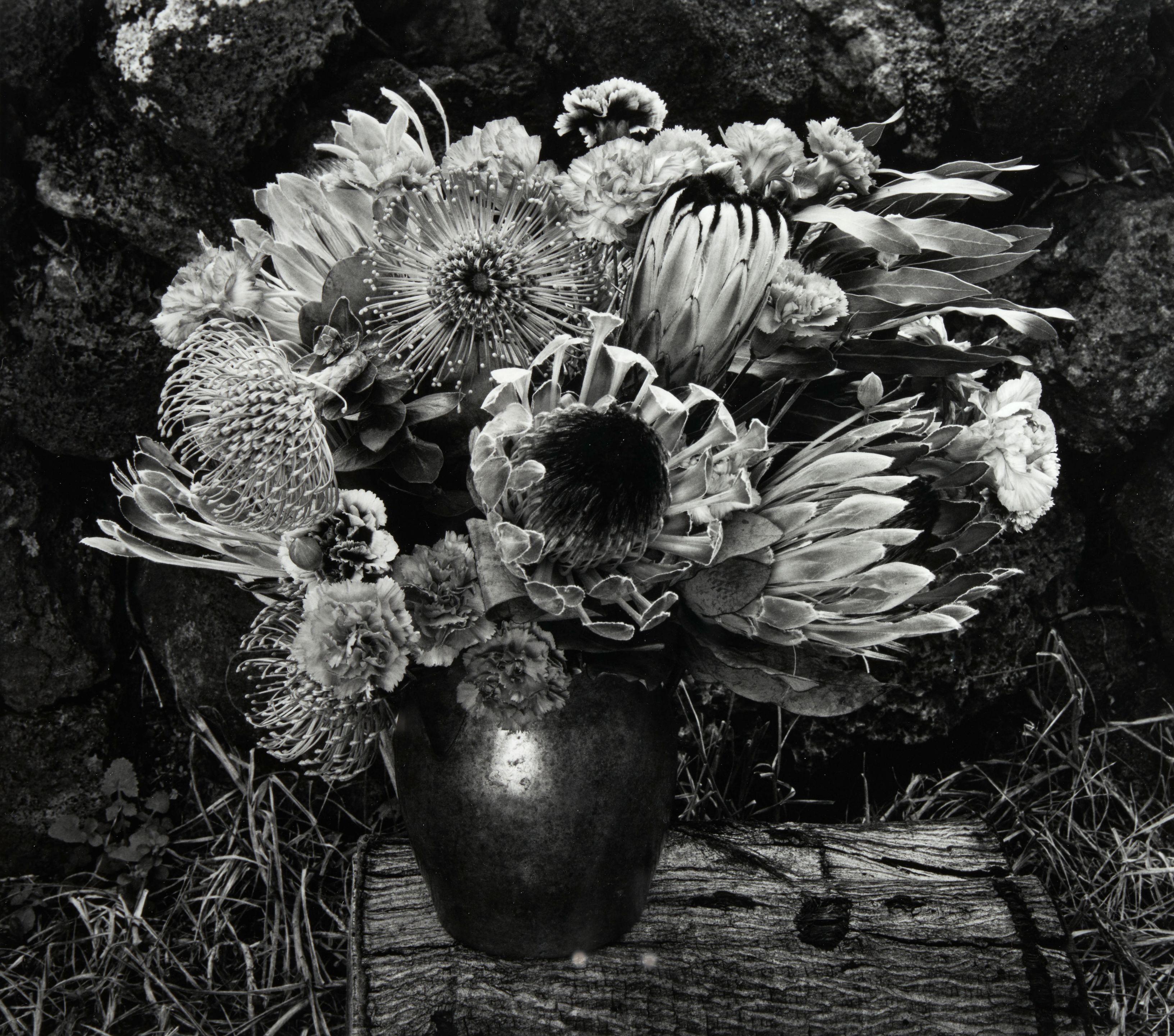 Paul Caponigro - Flower Vase, Maui, Hawaii