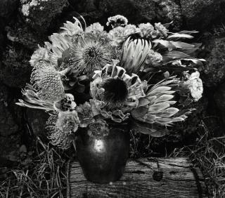 Paul Caponigro - Flower Vase, Maui, Hawaii