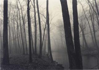 Paul Caponigro - Fog and Trees, Redding, Connecticut, 1968
