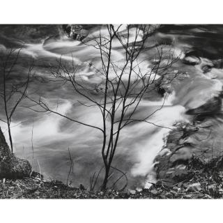 Paul Caponigro - Landscape Studies