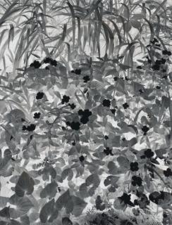 Paul Caponigro - Negative Print, Brewster, New York