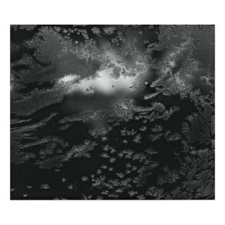 Paul Caponigro - Portfolio Ii