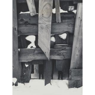 Paul Caponigro - Selected Abstract Compositions