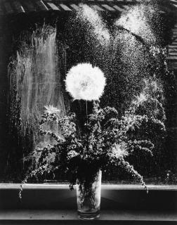 Paul Caponigro - Untitled