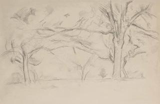 Paul Cézanne - Arbres À Jas De Bouffan