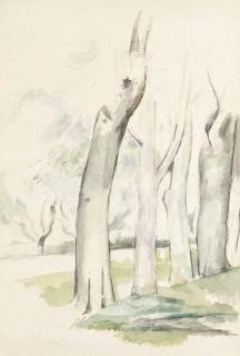 Paul Cézanne - Arbres au bord d’une route (recto); Au Jas de Bouffan (verso)