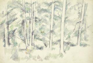 Paul Cezanne - Forêt (recto); Arbres et buissons (verso)