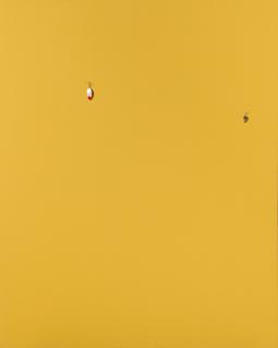 Paul Cowan - Ohne Titel.