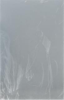 Paul Czerlitzki - Anna