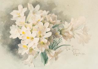 Paul De Longpre - Freesia 7 1/2 x 10 3/8in (19 x 26.2cm) (sight)