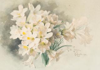 Paul de Longpre - Freesia