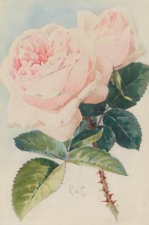 Paul De Longpre - Pink Roses