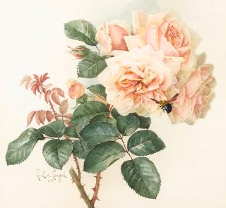 Paul de Longpre - Roses