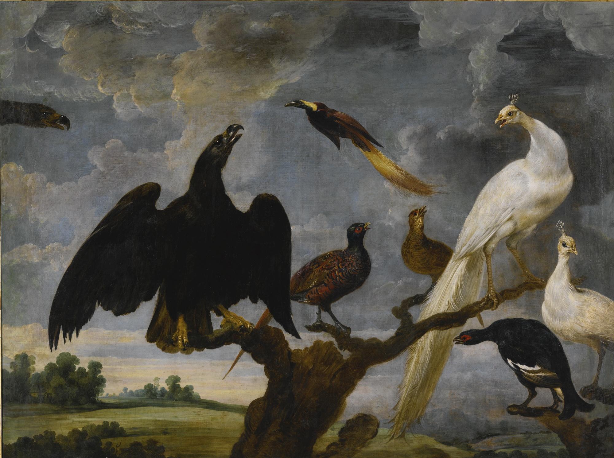 Paul De Vos - A Concert Of Birds Including An Eagle, A White Peacock And A Bird Of Paradise
