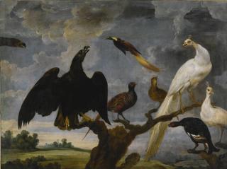 Paul De Vos - A Concert Of Birds Including An Eagle, A White Peacock And A Bird Of Paradise