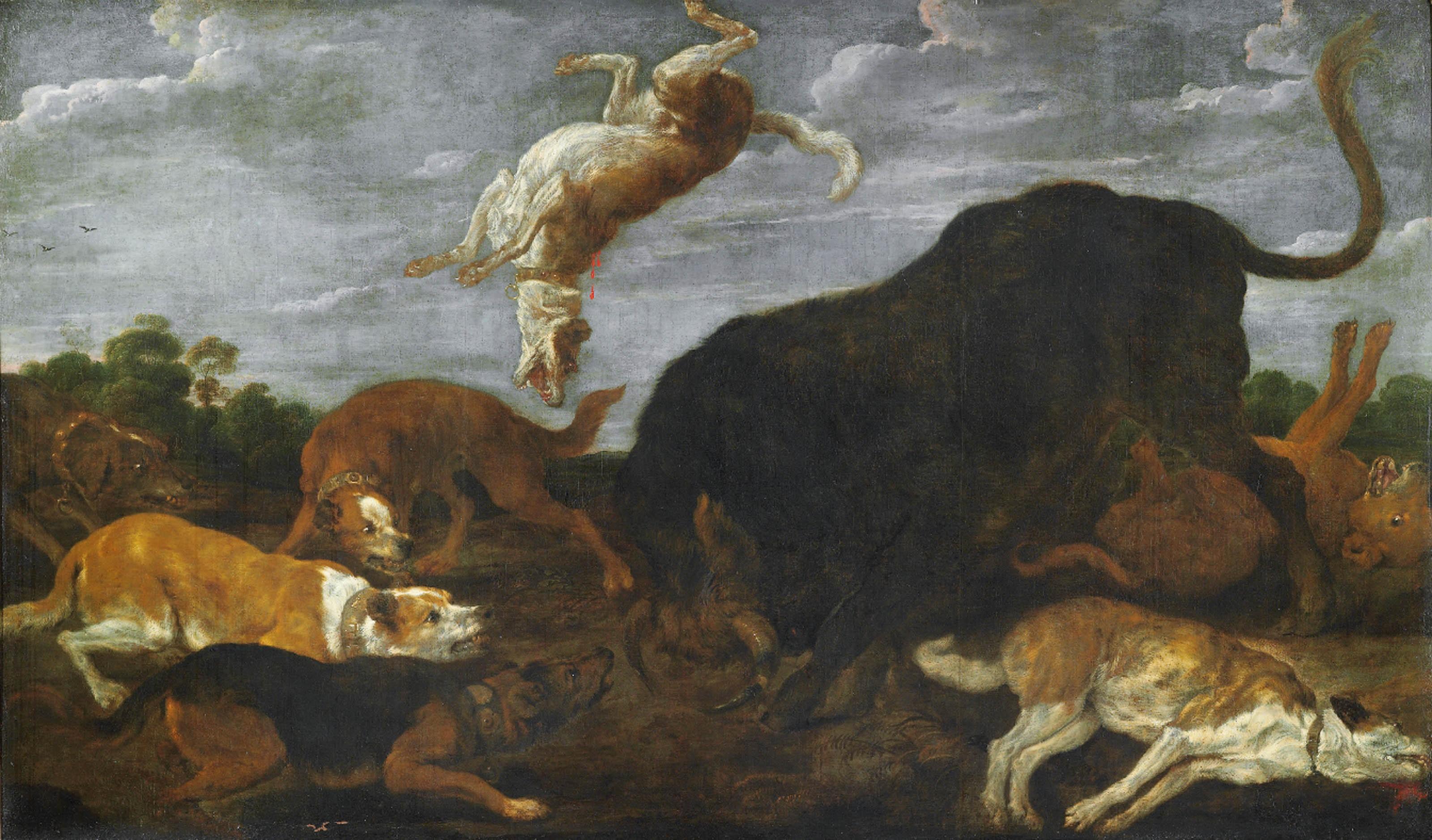 Paul de Vos - Hounds attacking a bull