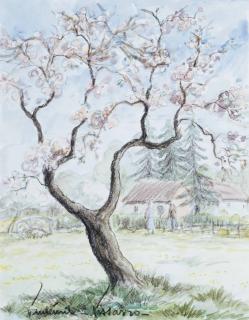 Paul-Émile Pissarro - Le Pére Olivier Dans Son Jardin